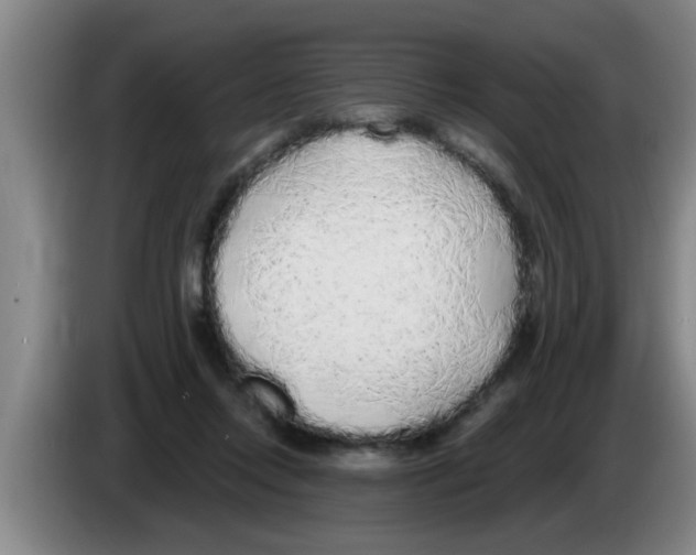 X0000083590358200703091724