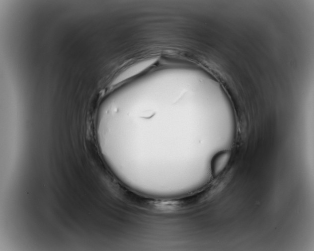 X0000083590359200703091724