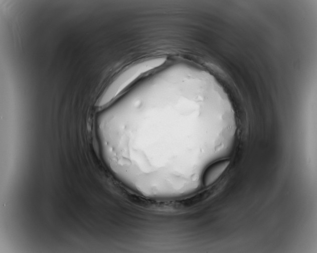 X0000083590361200703091724