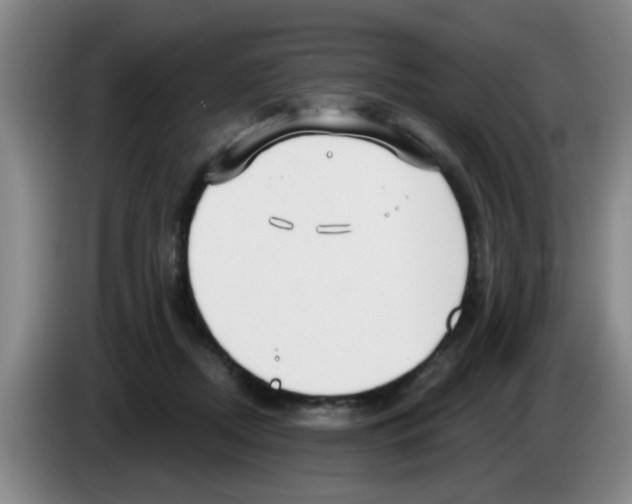 X0000083590362200703091724
