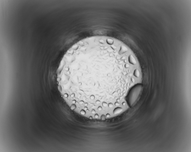 X0000083590363200703091724