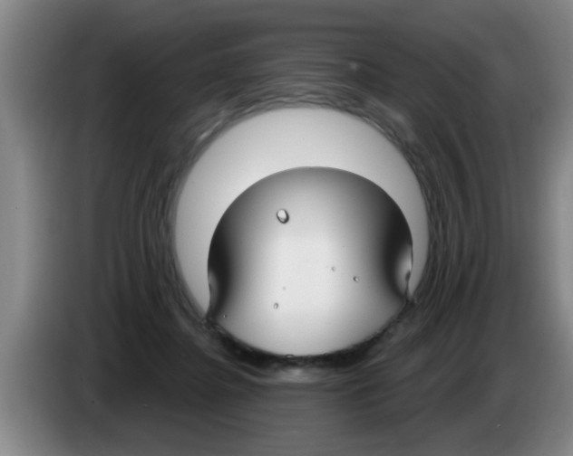 X0000083590364200703091724