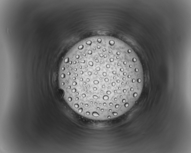 X0000083590365200703091724