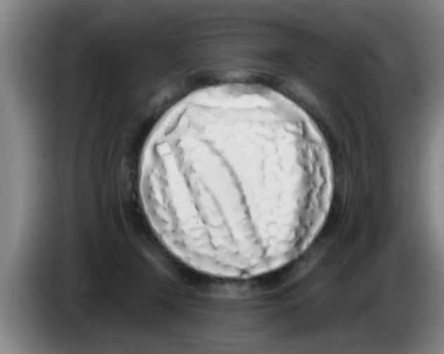 X0000083590366200703091725