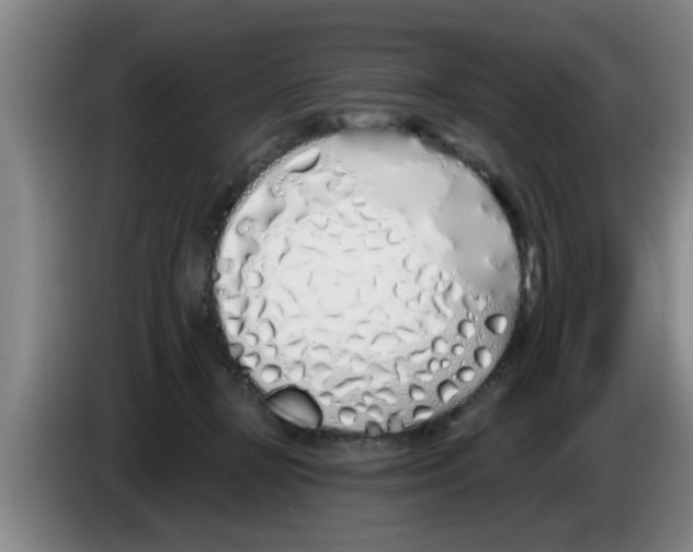 X0000083590367200703091725