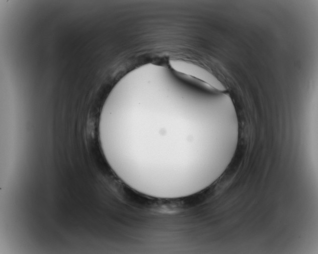 X0000083590368200703091725