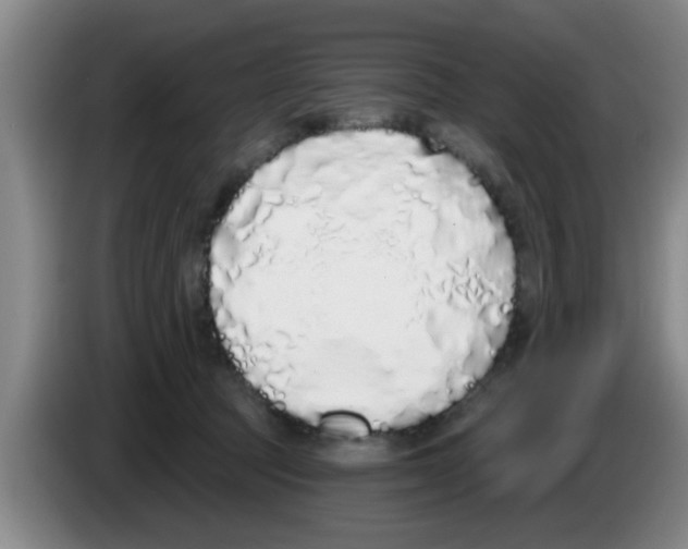 X0000083590369200703091725