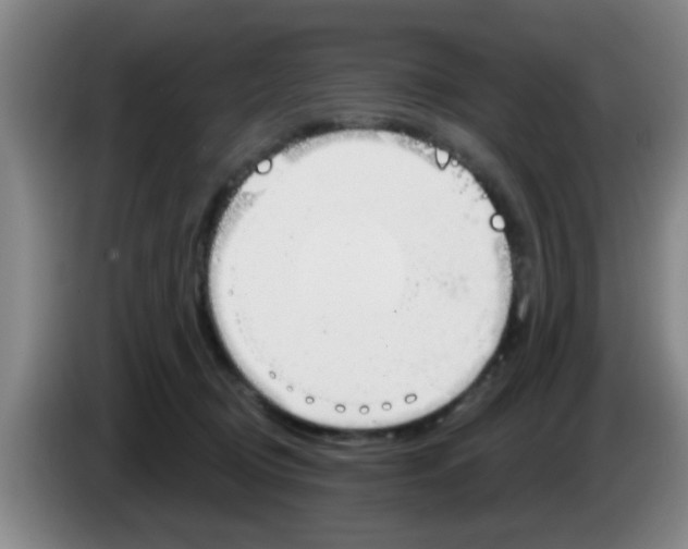 X0000083590370200703091725