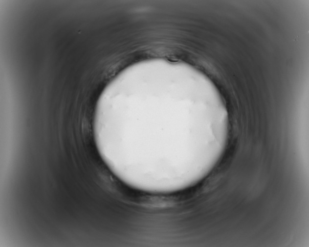 X0000083590371200703091725