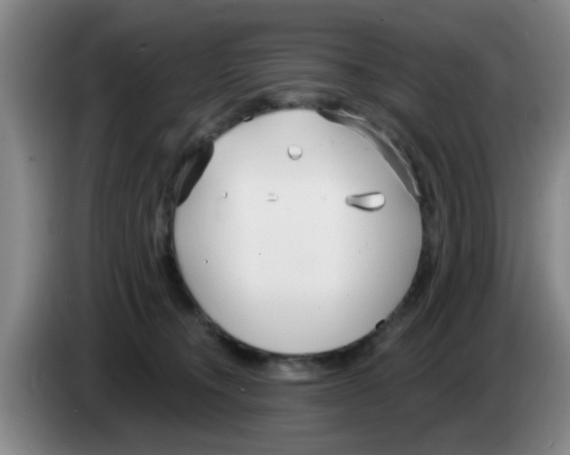 X0000083590372200703091725