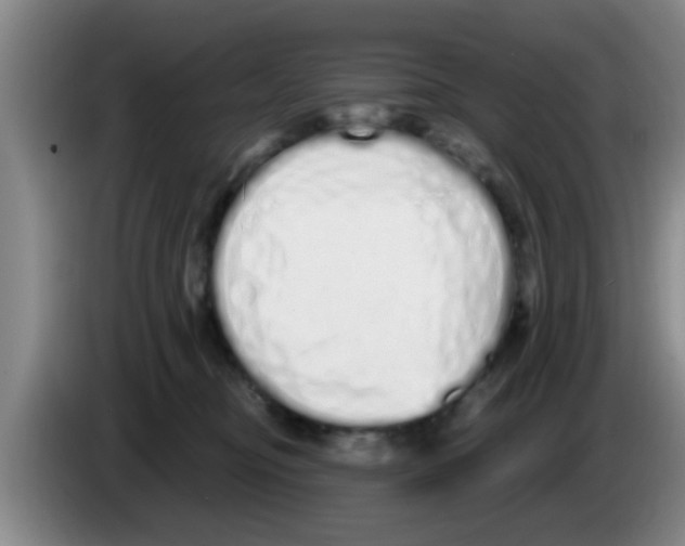X0000083590374200703091725