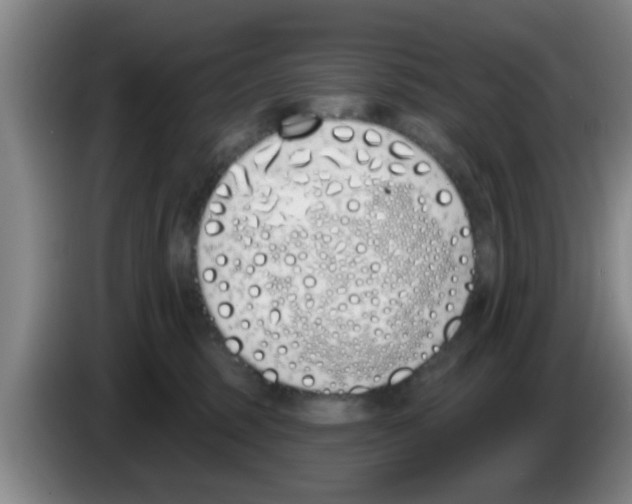 X0000083590375200703091725