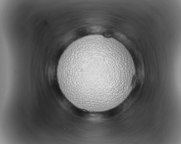 X0000083590376200703091725