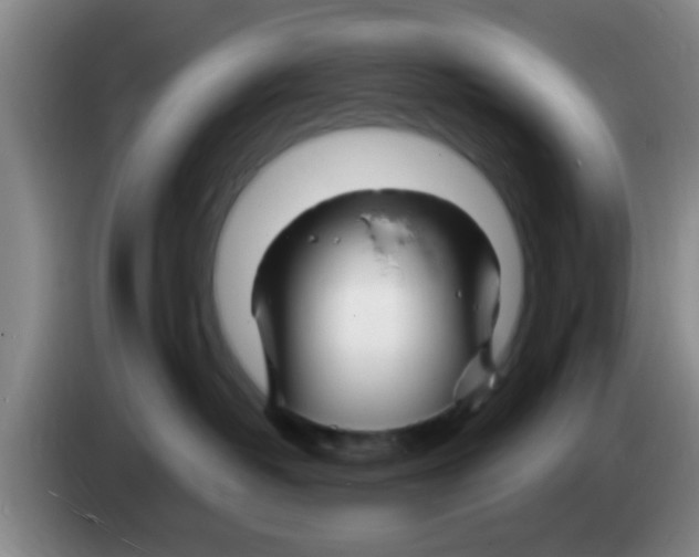 X0000083590382200703091725
