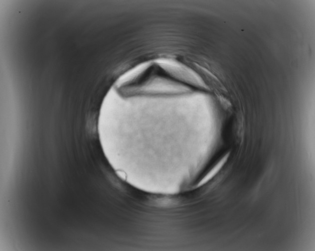 X0000083590383200703091725