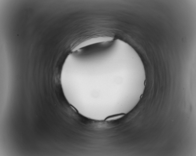 X0000083590384200703091725