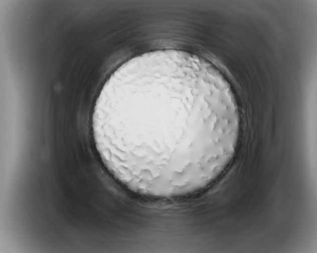 X0000083590386200703091724