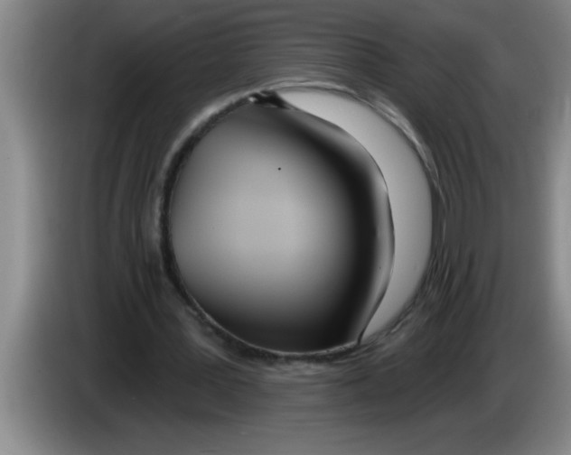 X0000083590387200703091724