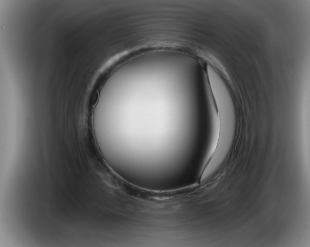 X0000083590388200703091724
