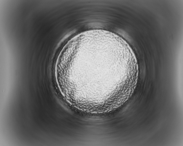X0000083590390200703091724