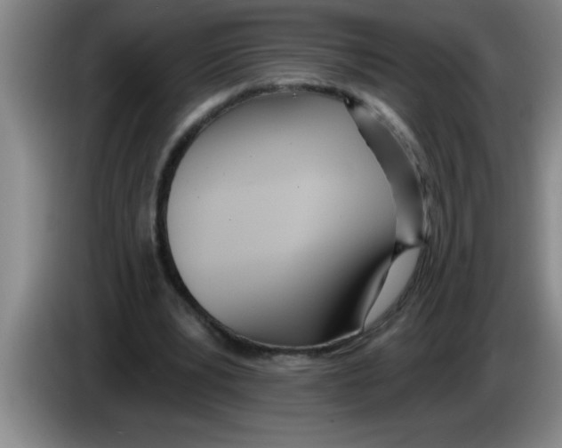 X0000083590391200703091724