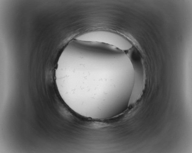 X0000083590393200703091724