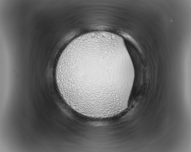 X0000083590394200703091724