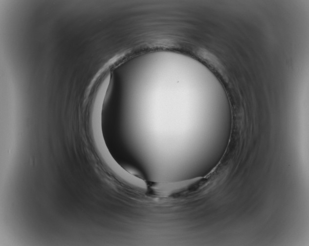 X0000083590395200703091724