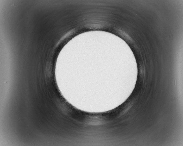 X0000083590396200703091724