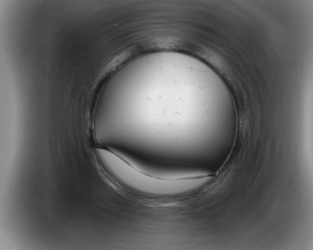 X0000083590397200703091724