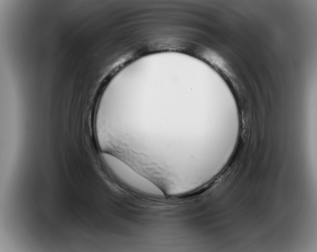X0000083590398200703091724