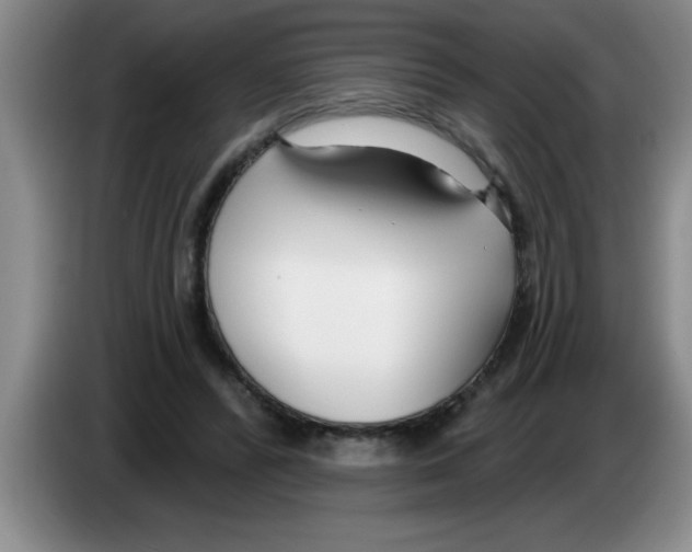 X0000083590400200703091724