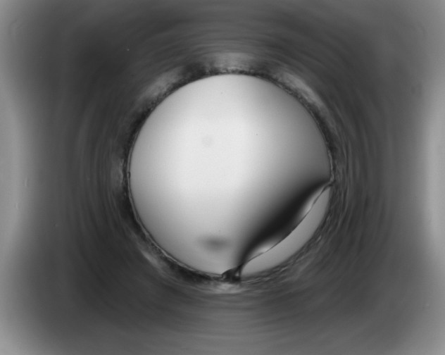 X0000083590401200703091724