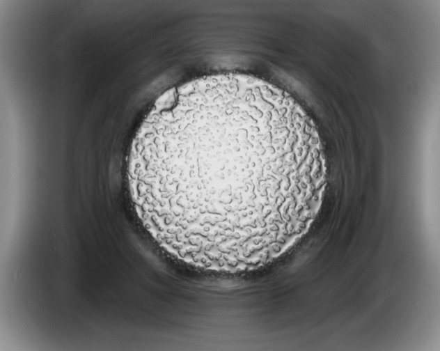 X0000083590402200703091724