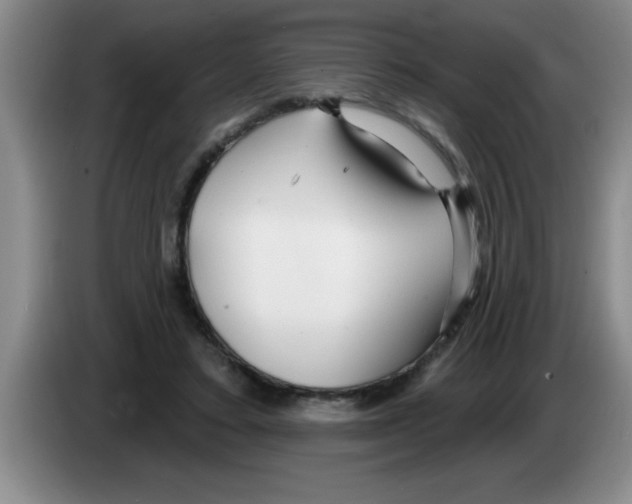 X0000083590403200703091724