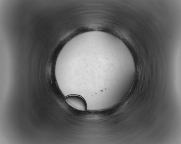 X0000083590404200703091724