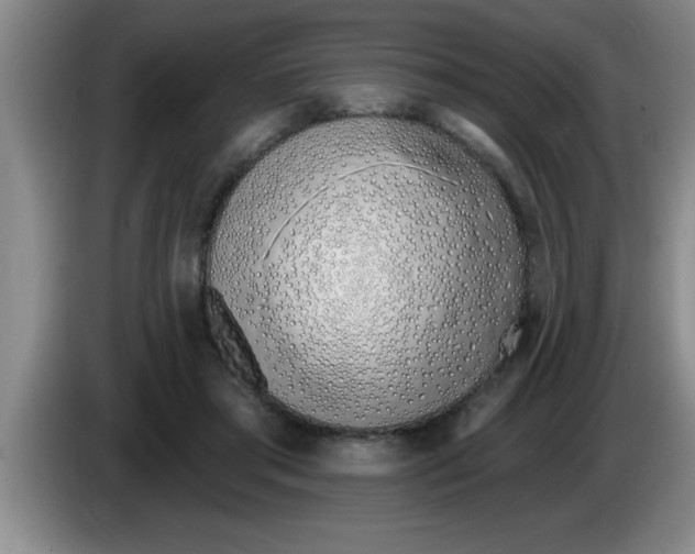 X0000083590405200703091724