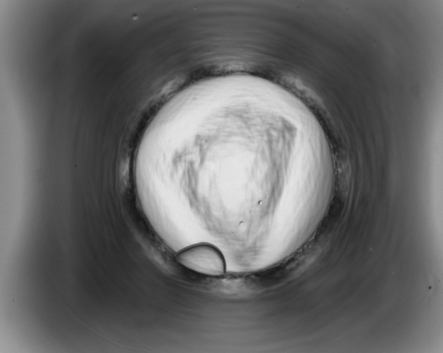 X0000083590406200703091724
