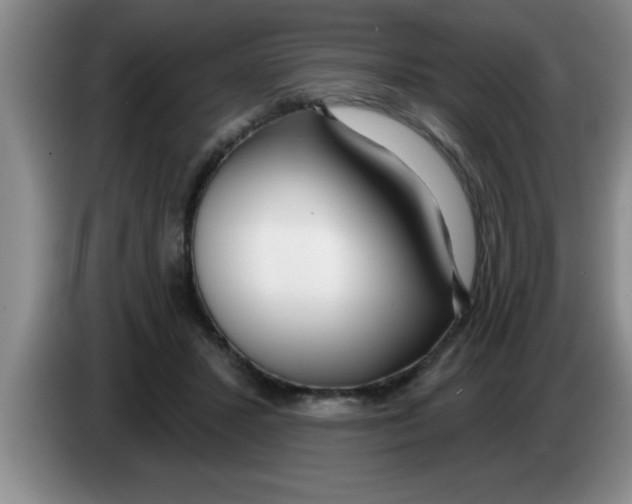 X0000083590407200703091724