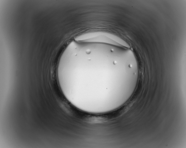 X0000083590408200703091724