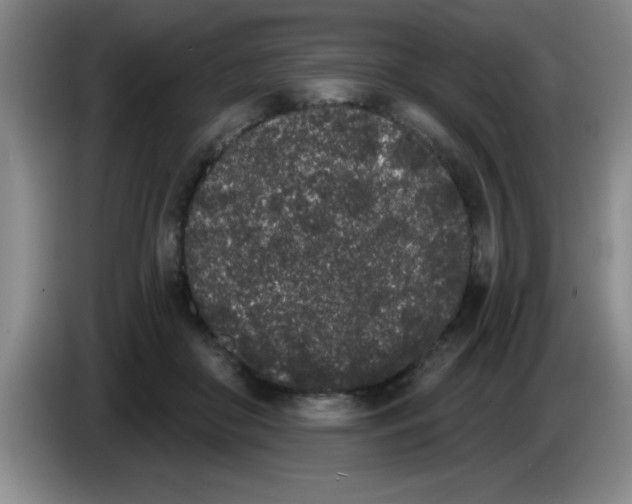 X0000083590410200703091724