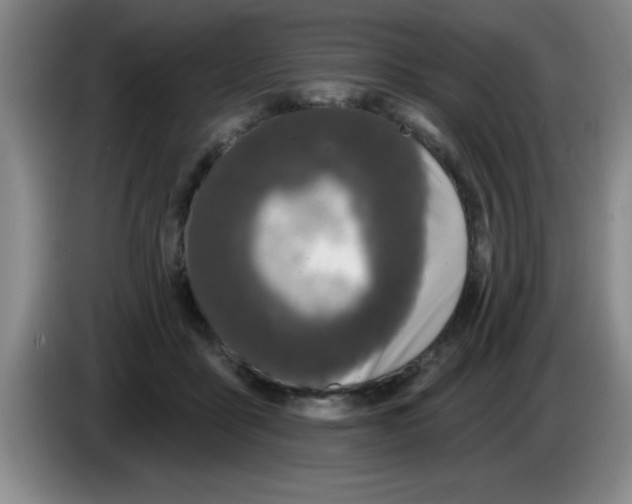 X0000083590411200703091724