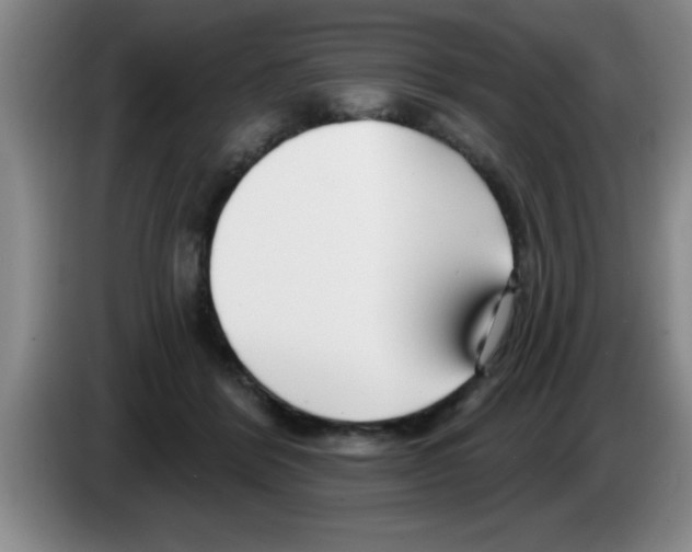 X0000083590412200703091724
