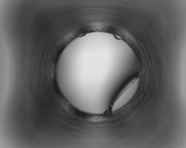 X0000083590413200703091724