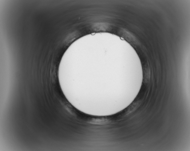 X0000083590414200703091724