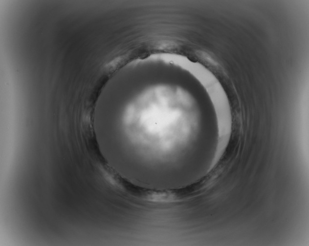 X0000083590415200703091724