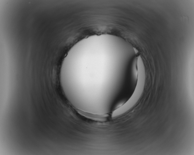 X0000083590416200703091724