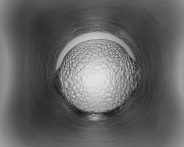 X0000083590417200703091724