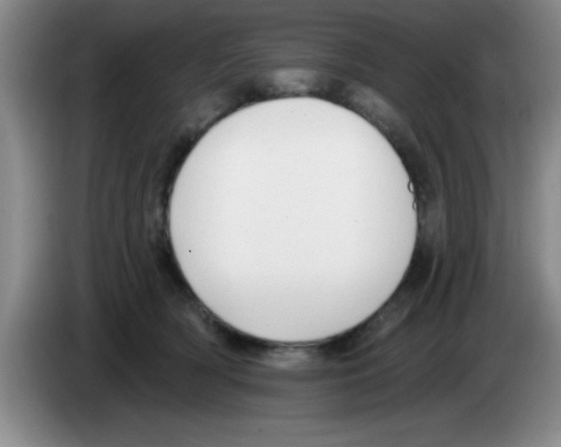 X0000083590418200703091724