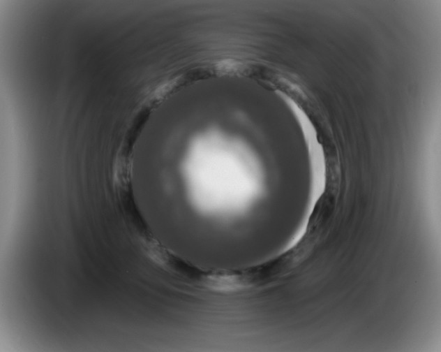 X0000083590419200703091724